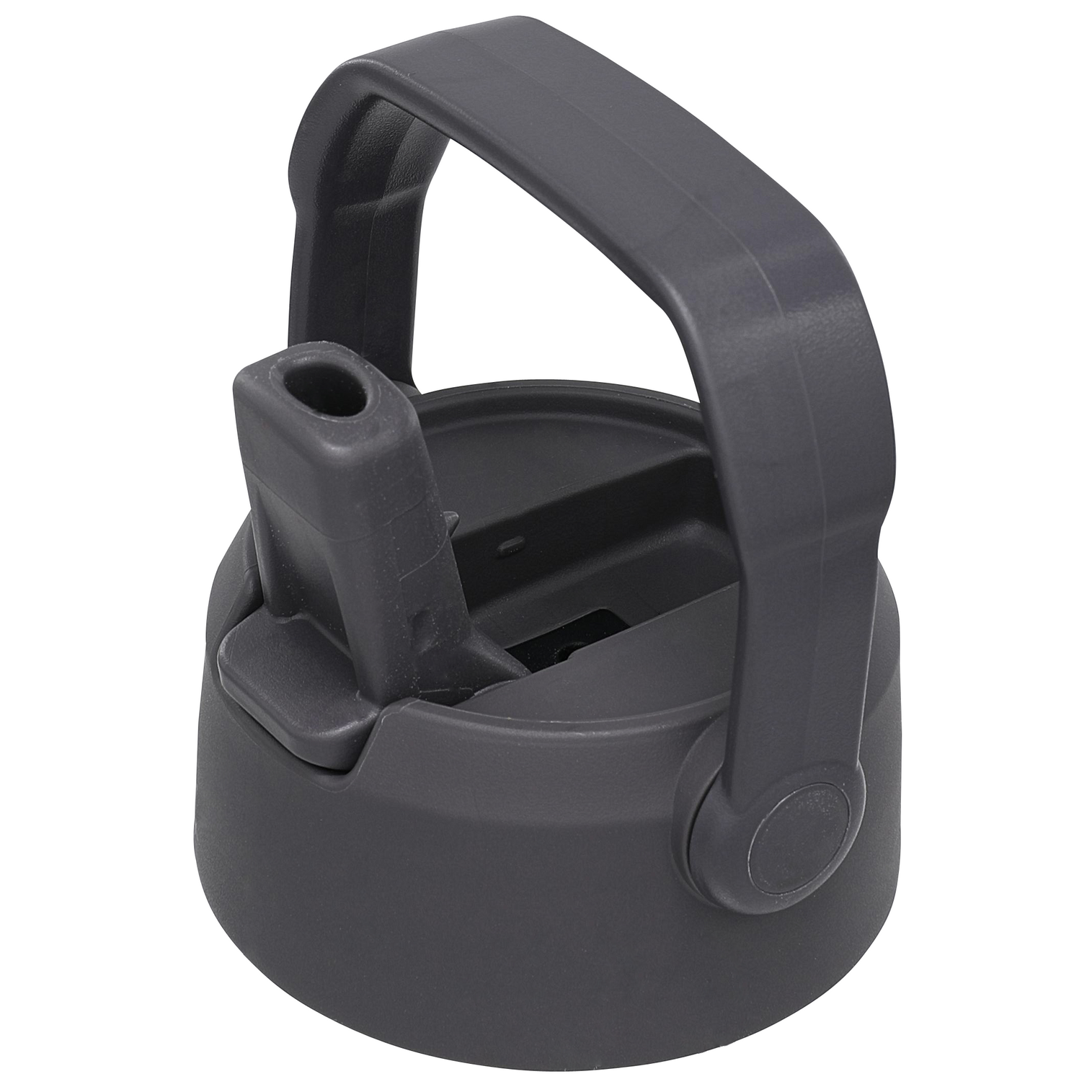 B2B_Web_PNG-GO-Flip-Straw-Water-Bottle-Lid-17oz-22oz-Charcoal_24fd624b-4be2-4a33-b64e-37d746f98ec3.png