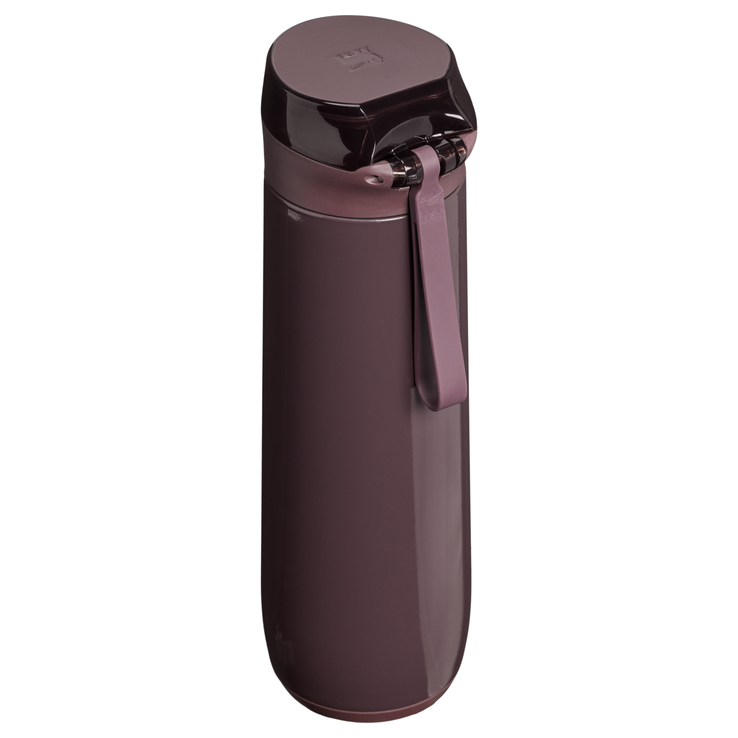 Web_PNG_Square-TheFlowstateSpringBottle-20oz0.59L-FigGloss-HeroBack.png